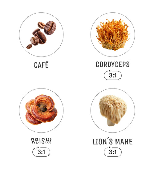 CAFÉ & ADAPTÓGENOS