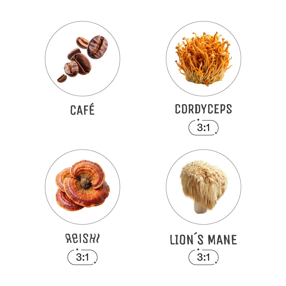 CAFÉ &amp; ADAPTÓGENOS