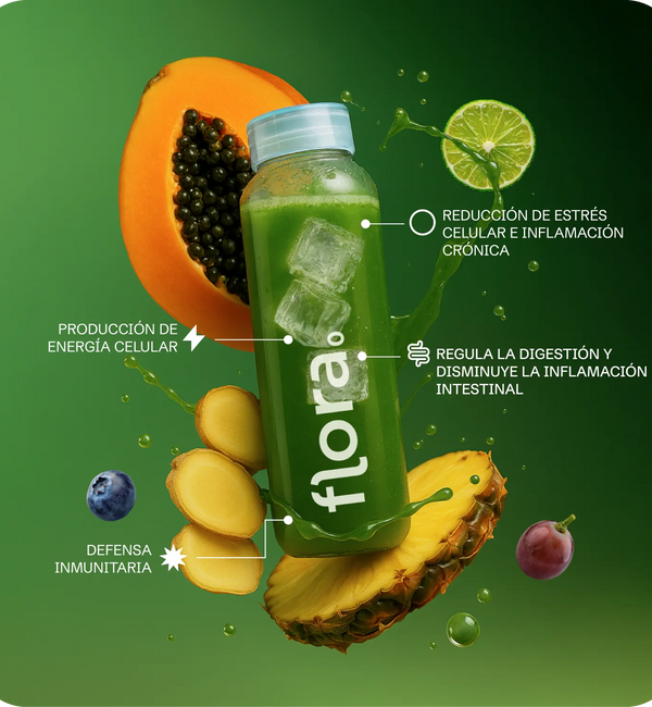 Flora 0 - Suplemento Alimenticio Integral