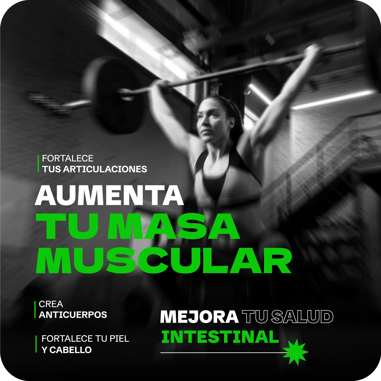 Flora 1 - Proteína integral