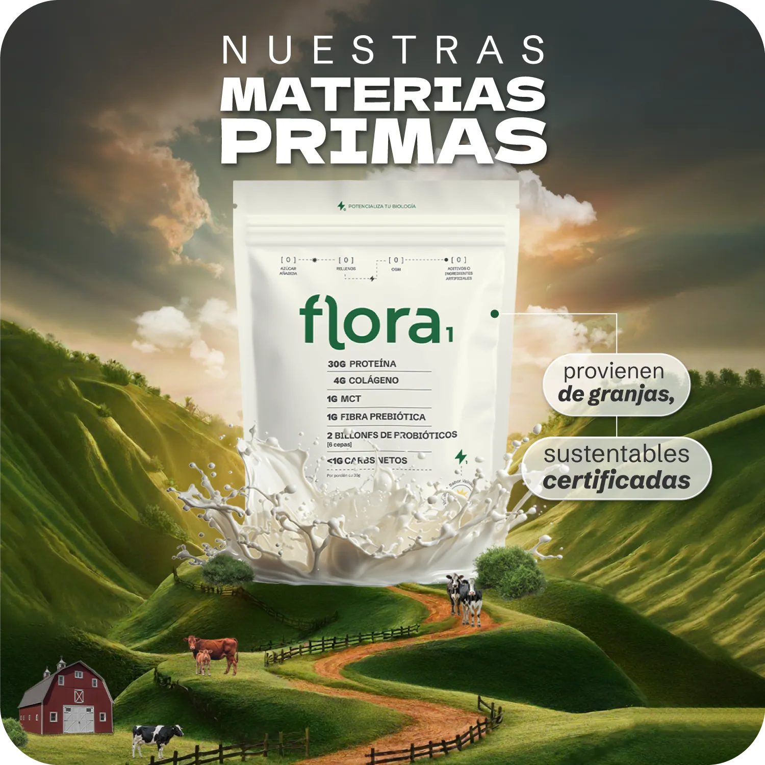 Flora 1 - Proteína integral