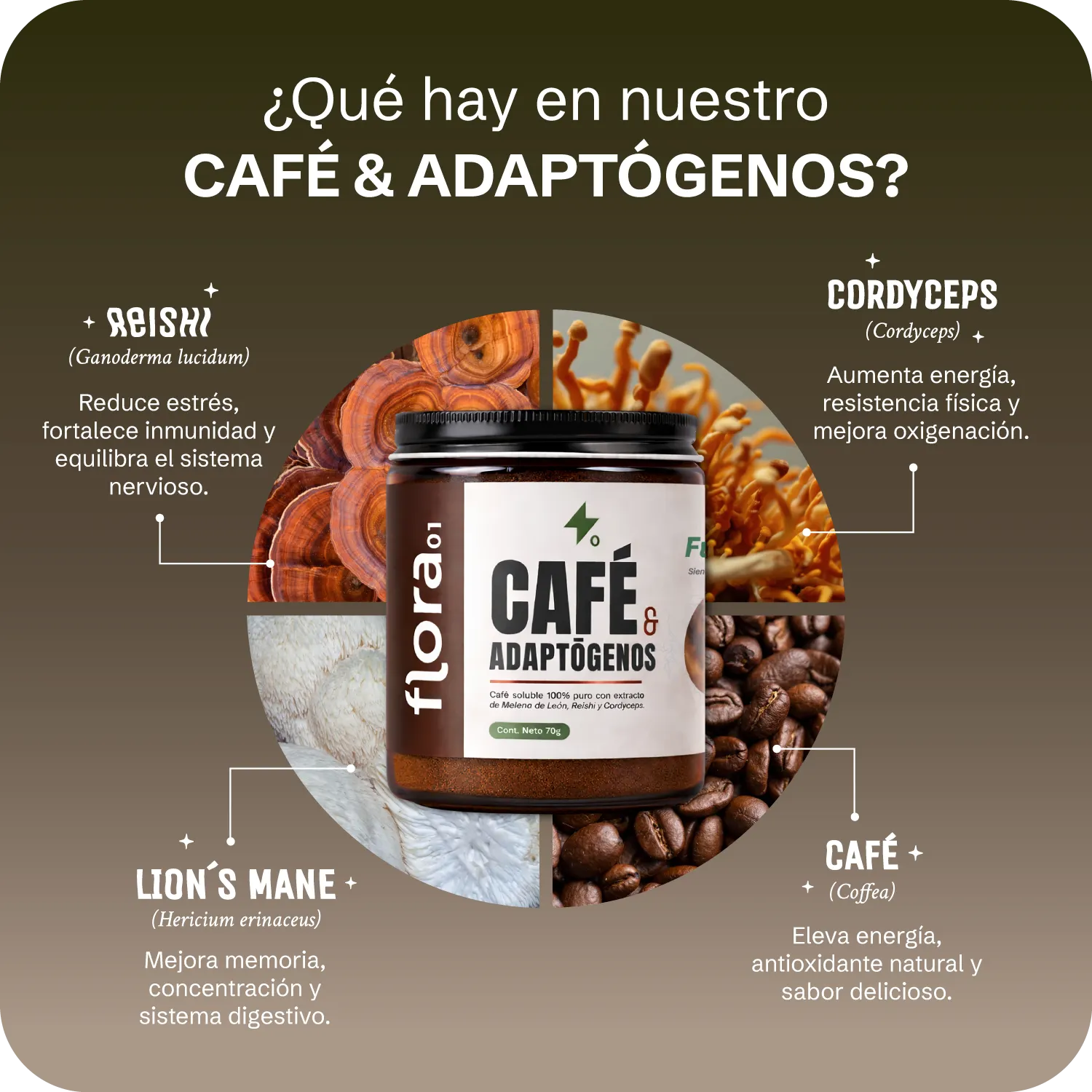 CAFÉ &amp; ADAPTÓGENOS