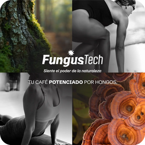 CAFÉ & ADAPTÓGENOS