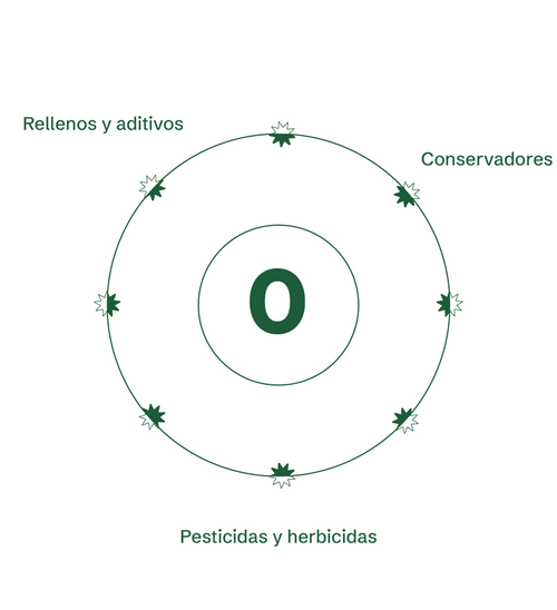 NeuroFlow - Nootrópico Natural
