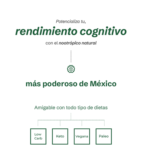 NeuroFlow - Nootrópico Natural