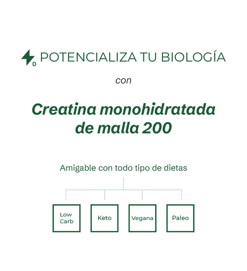 Performance - Creatina Monohidratada