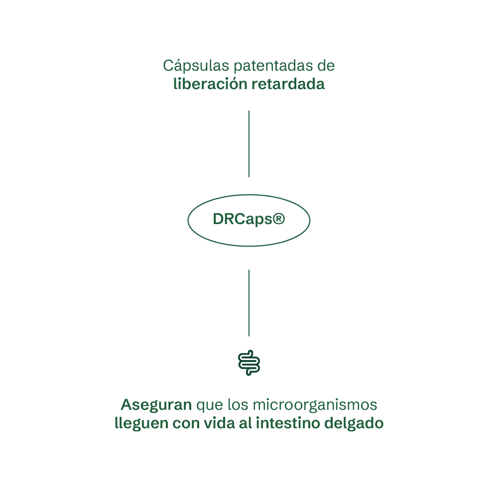 Simbiótico Diario - Probióticos 60B15S