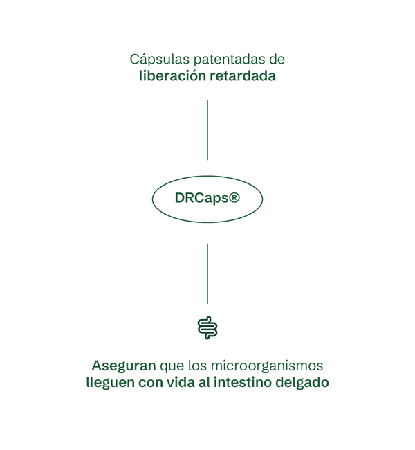 Simbiótico Diario - Probióticos 60B15S